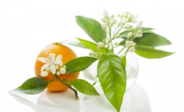 خواص درمانی بهار نارنج در طب سنتی