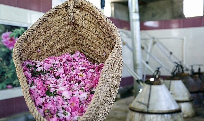 خواص خوردن گلاب قبل از خواب